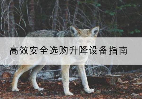 叶集升降货梯厂家推荐-*安全选购升降设备指南
