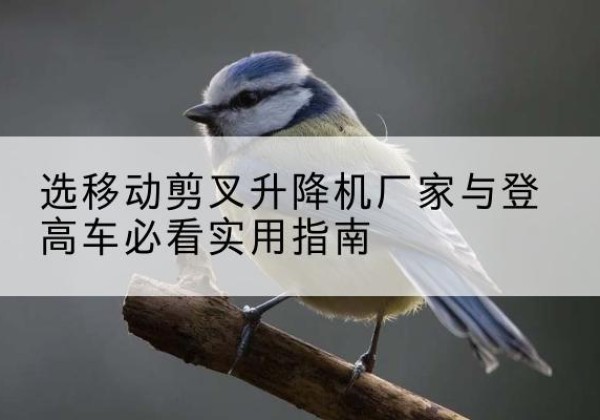 叶集电动升降机厂家-选移动剪叉升降机厂家与登高车必看实用指南