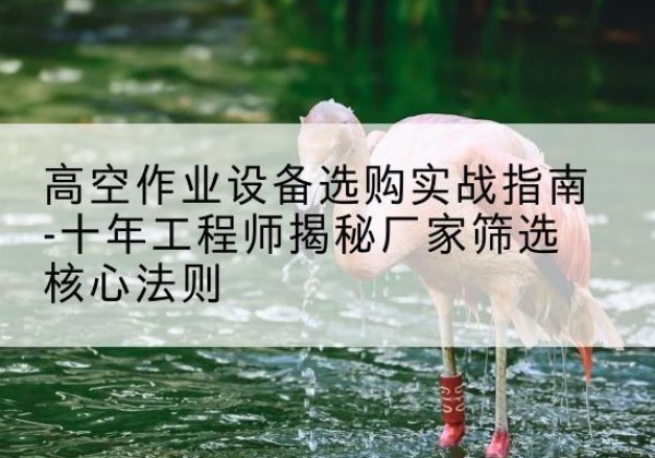 叶集剪叉式升降机厂家-高空作业设备选购实战指南-十年工程师揭秘厂家筛选核心法则