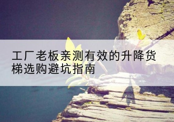 叶集升降货梯怎么选-工厂老板亲测有效的升降货梯选购避坑指南